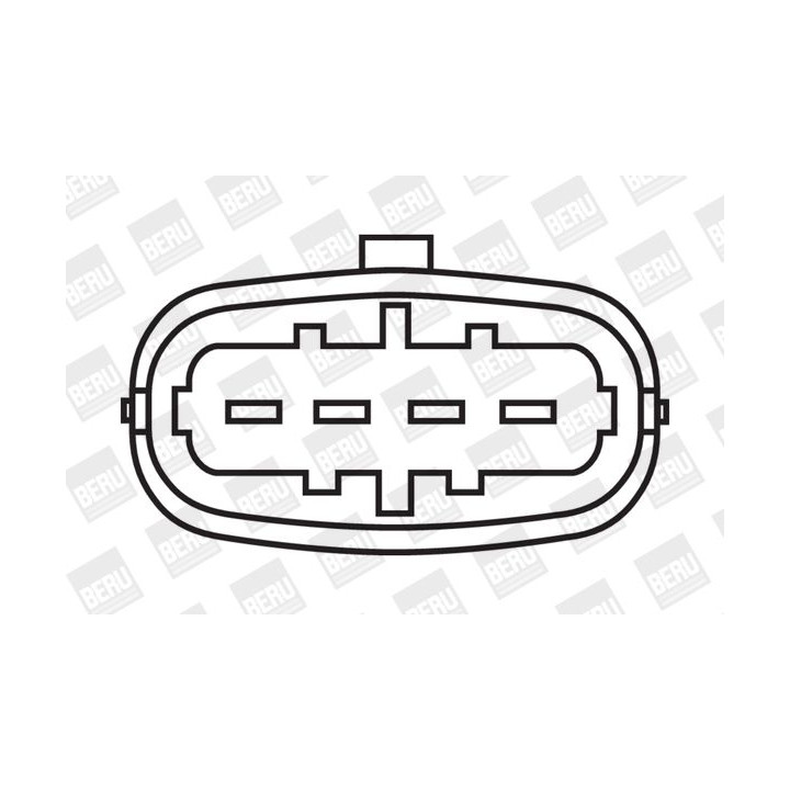 Ritė, uždegimas BorgWarner (BERU) ZSE055