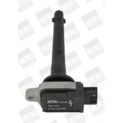 Ritė, uždegimas BorgWarner (BERU) ZSE056