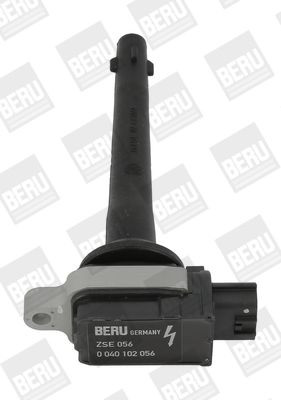 Ritė, uždegimas BorgWarner (BERU) ZSE056