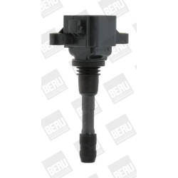 Ritė, uždegimas BorgWarner (BERU) ZSE066