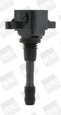Ritė, uždegimas BorgWarner (BERU) ZSE066