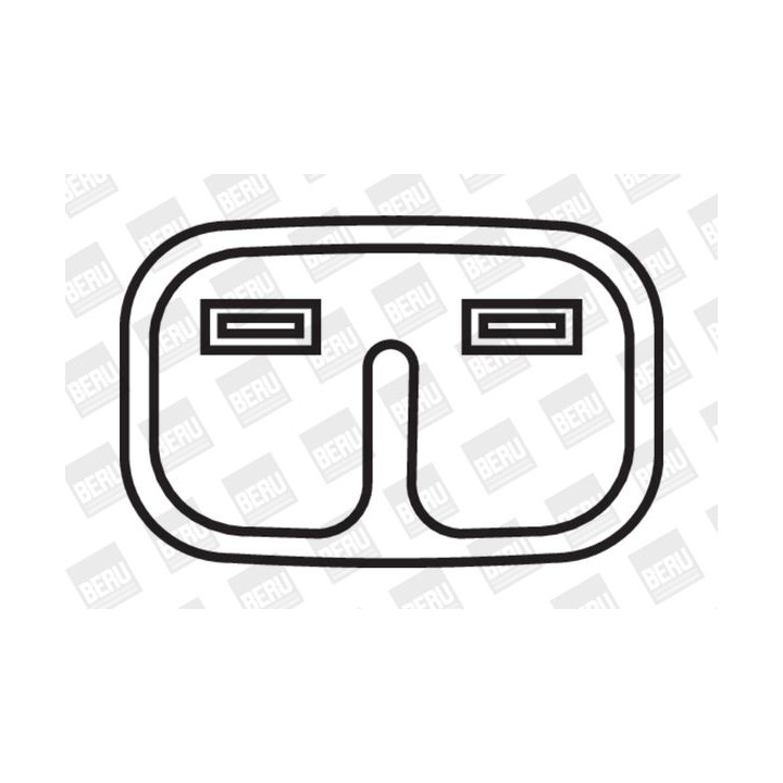 Ritė, uždegimas BorgWarner (BERU) ZSE066