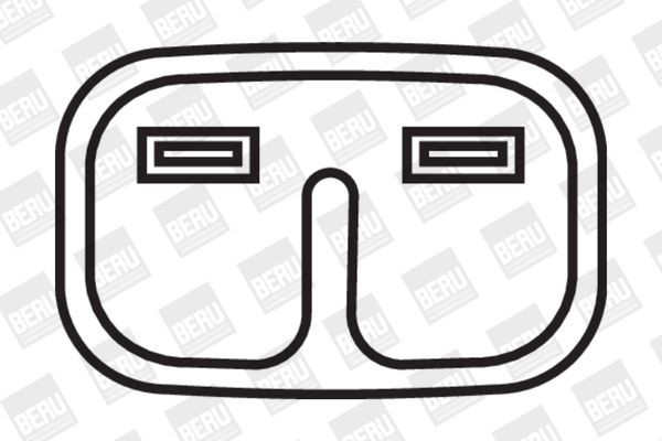 Ritė, uždegimas BorgWarner (BERU) ZSE066