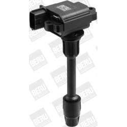 Ritė, uždegimas BorgWarner (BERU) ZSE071