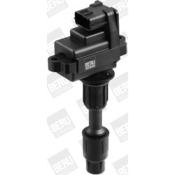 Ritė, uždegimas BorgWarner (BERU) ZSE074