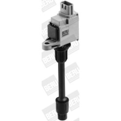 Ritė, uždegimas BorgWarner (BERU) ZSE075