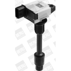 Ritė, uždegimas BorgWarner (BERU) ZSE076