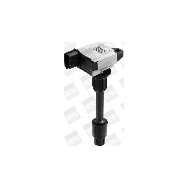 Ritė, uždegimas BorgWarner (BERU) ZSE076