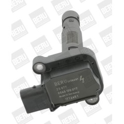 Ritė, uždegimas BorgWarner (BERU) ZSE077