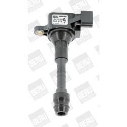 Ritė, uždegimas BorgWarner (BERU) ZSE079