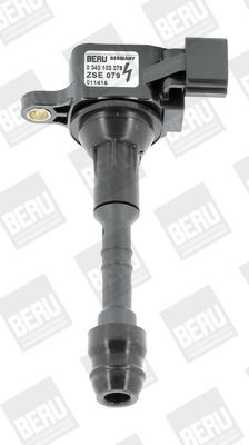 Ritė, uždegimas BorgWarner (BERU) ZSE079
