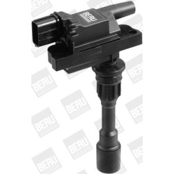 Ritė, uždegimas BorgWarner (BERU) ZSE084