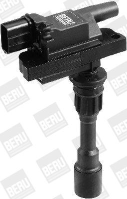 Ritė, uždegimas BorgWarner (BERU) ZSE084