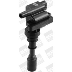 Ritė, uždegimas BorgWarner (BERU) ZSE086