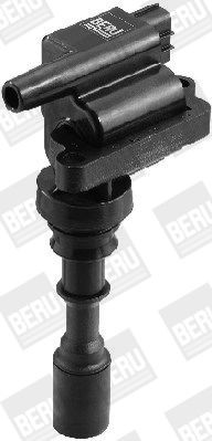 Ritė, uždegimas BorgWarner (BERU) ZSE086