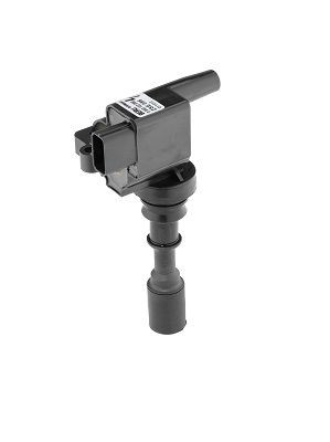 Ritė, uždegimas BorgWarner (BERU) ZSE086