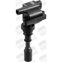 Ritė, uždegimas BorgWarner (BERU) ZSE087