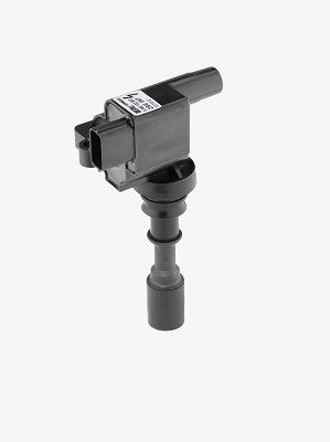 Ritė, uždegimas BorgWarner (BERU) ZSE087