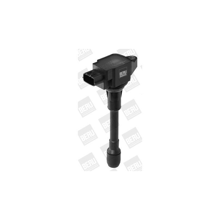 Ritė, uždegimas BorgWarner (BERU) ZSE088