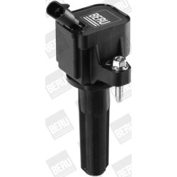 Ritė, uždegimas BorgWarner (BERU) ZSE133