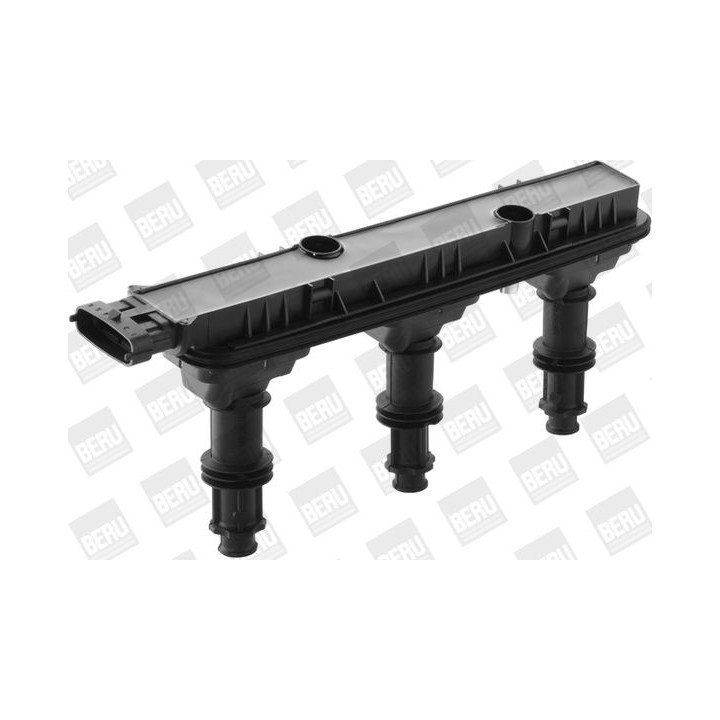 Ritė, uždegimas BorgWarner (BERU) ZSE152