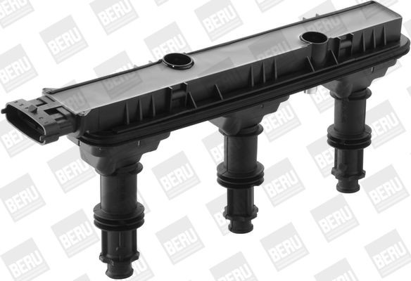 Ritė, uždegimas BorgWarner (BERU) ZSE152