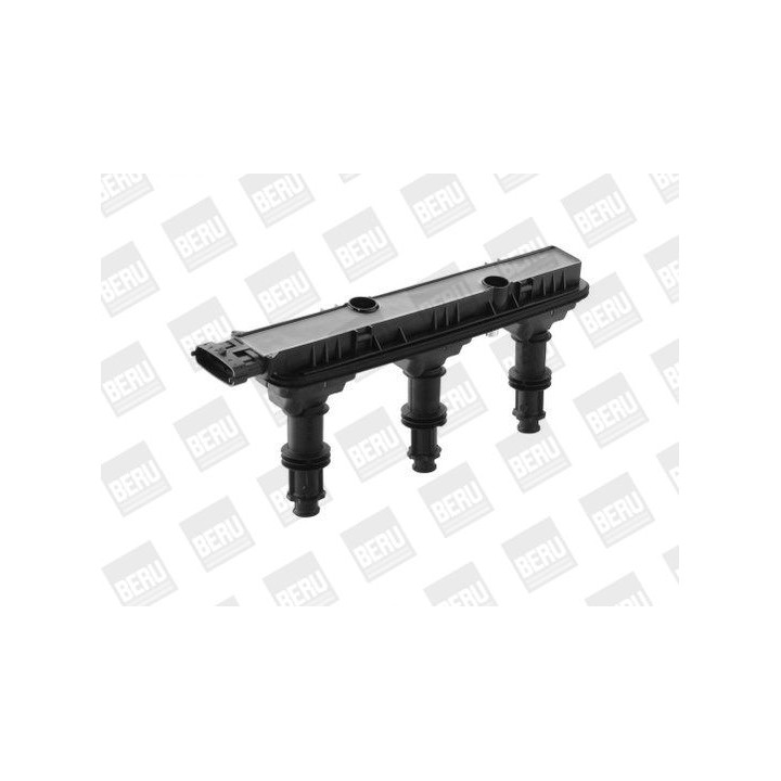 Ritė, uždegimas BorgWarner (BERU) ZSE152