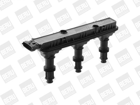 Ritė, uždegimas BorgWarner (BERU) ZSE152