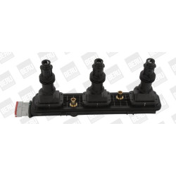 Ritė, uždegimas BorgWarner (BERU) ZSE153