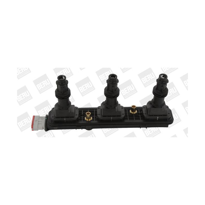 Ritė, uždegimas BorgWarner (BERU) ZSE153