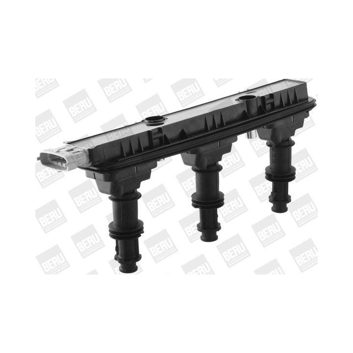 Ritė, uždegimas BorgWarner (BERU) ZSE153