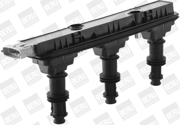 Ritė, uždegimas BorgWarner (BERU) ZSE153