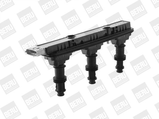 Ritė, uždegimas BorgWarner (BERU) ZSE153