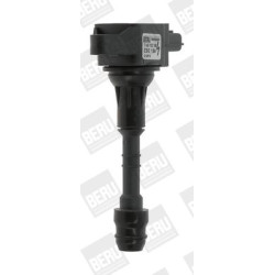 Ritė, uždegimas BorgWarner (BERU) ZSE156