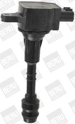 Ritė, uždegimas BorgWarner (BERU) ZSE157