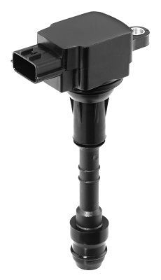 Ritė, uždegimas BorgWarner (BERU) ZSE157