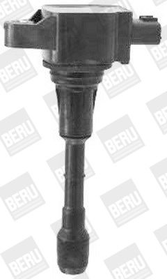 Ritė, uždegimas BorgWarner (BERU) ZSE158