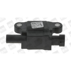 Ritė, uždegimas BorgWarner (BERU) ZSE159