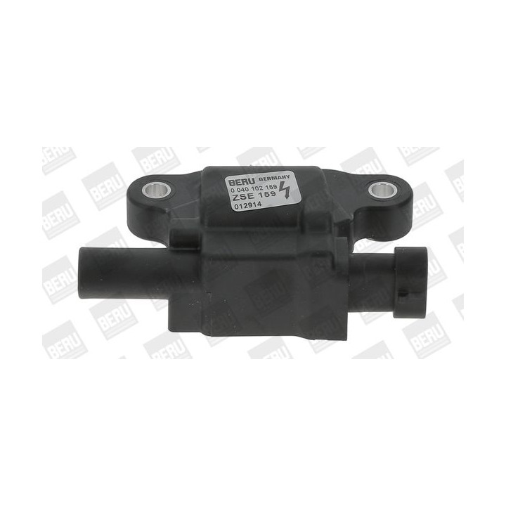 Ritė, uždegimas BorgWarner (BERU) ZSE159