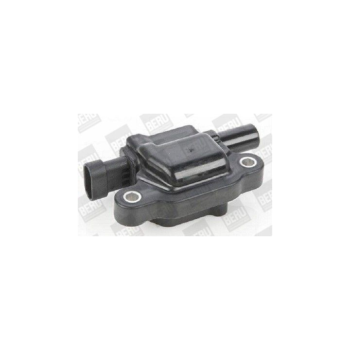 Ritė, uždegimas BorgWarner (BERU) ZSE159