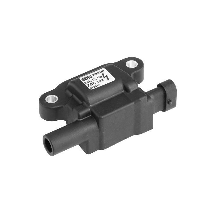 Ritė, uždegimas BorgWarner (BERU) ZSE159