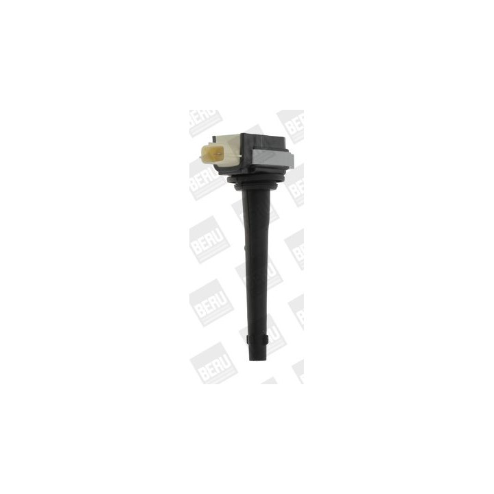 Ritė, uždegimas BorgWarner (BERU) ZSE161