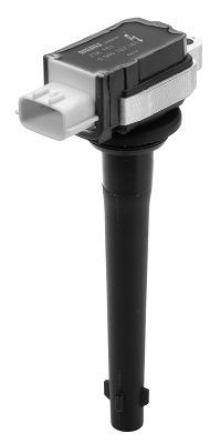 Ritė, uždegimas BorgWarner (BERU) ZSE161