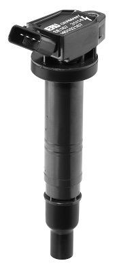 Ritė, uždegimas BorgWarner (BERU) ZSE167