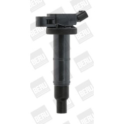 Ritė, uždegimas BorgWarner (BERU) ZSE171