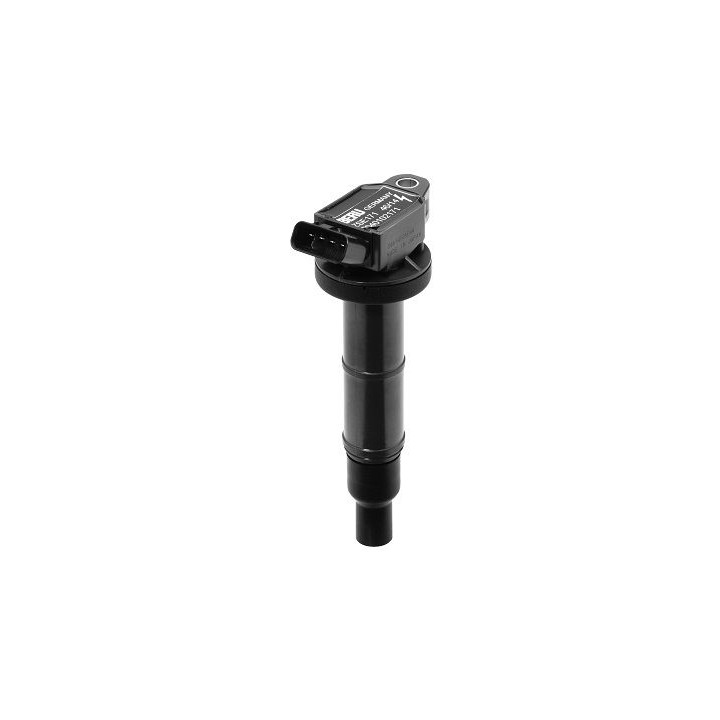 Ritė, uždegimas BorgWarner (BERU) ZSE171