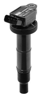 Ritė, uždegimas BorgWarner (BERU) ZSE171