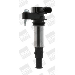 Ritė, uždegimas BorgWarner (BERU) ZSE174