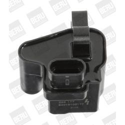 Ritė, uždegimas BorgWarner (BERU) ZSE177