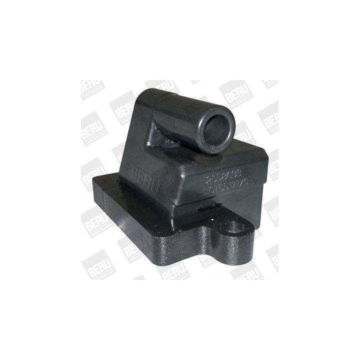 Ritė, uždegimas BorgWarner (BERU) ZSE177